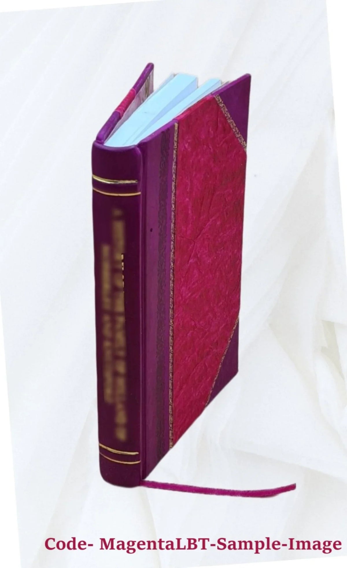 Il reo innocente opera tragica 'Accademico Oscuro, data in luce da Bartolomeo Lupardi 1696 [Leather Bound]