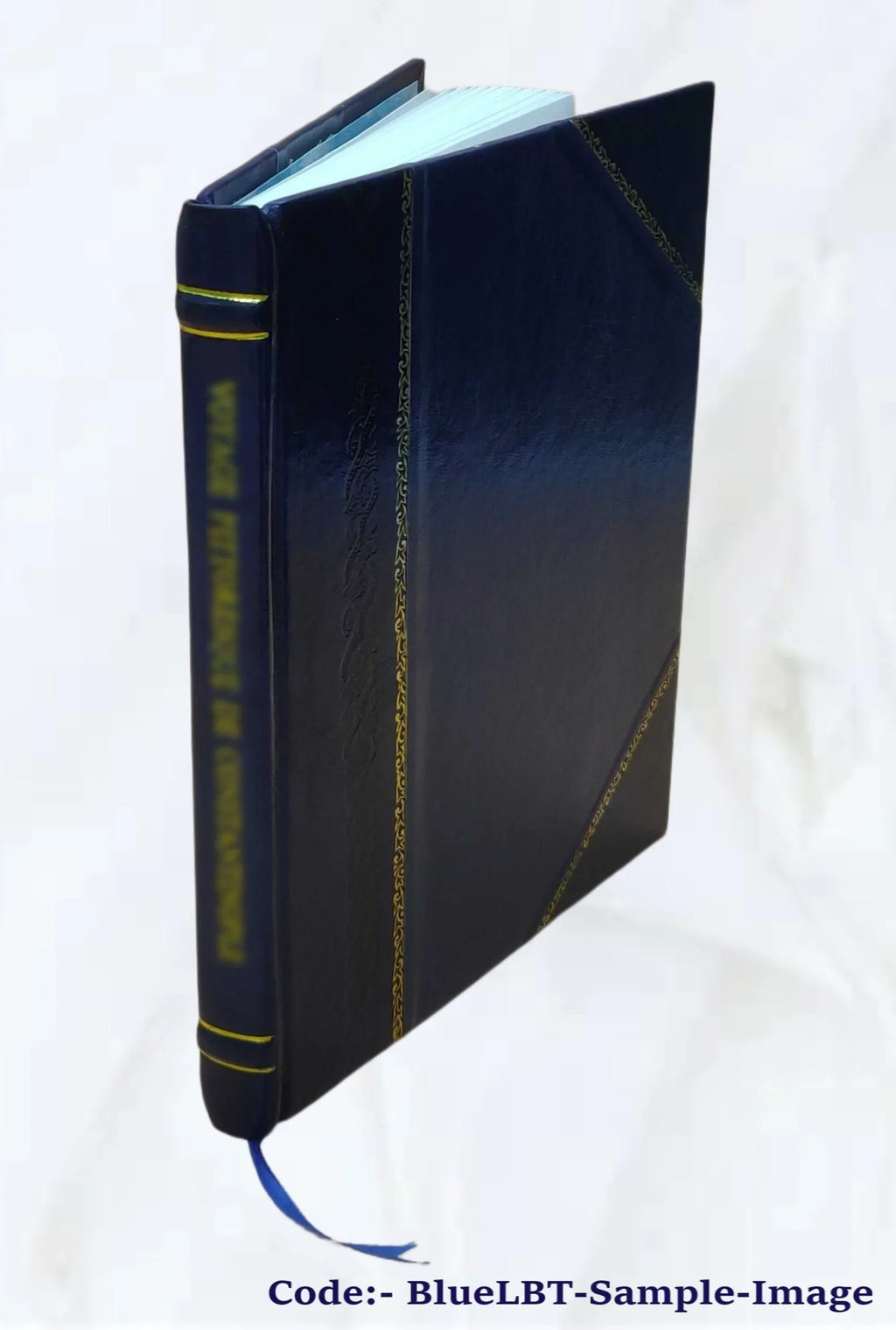 History and antiquities of St. Augustine, Florida / by George R. Fairbanks, m.a. 1881 [Leather Bound]