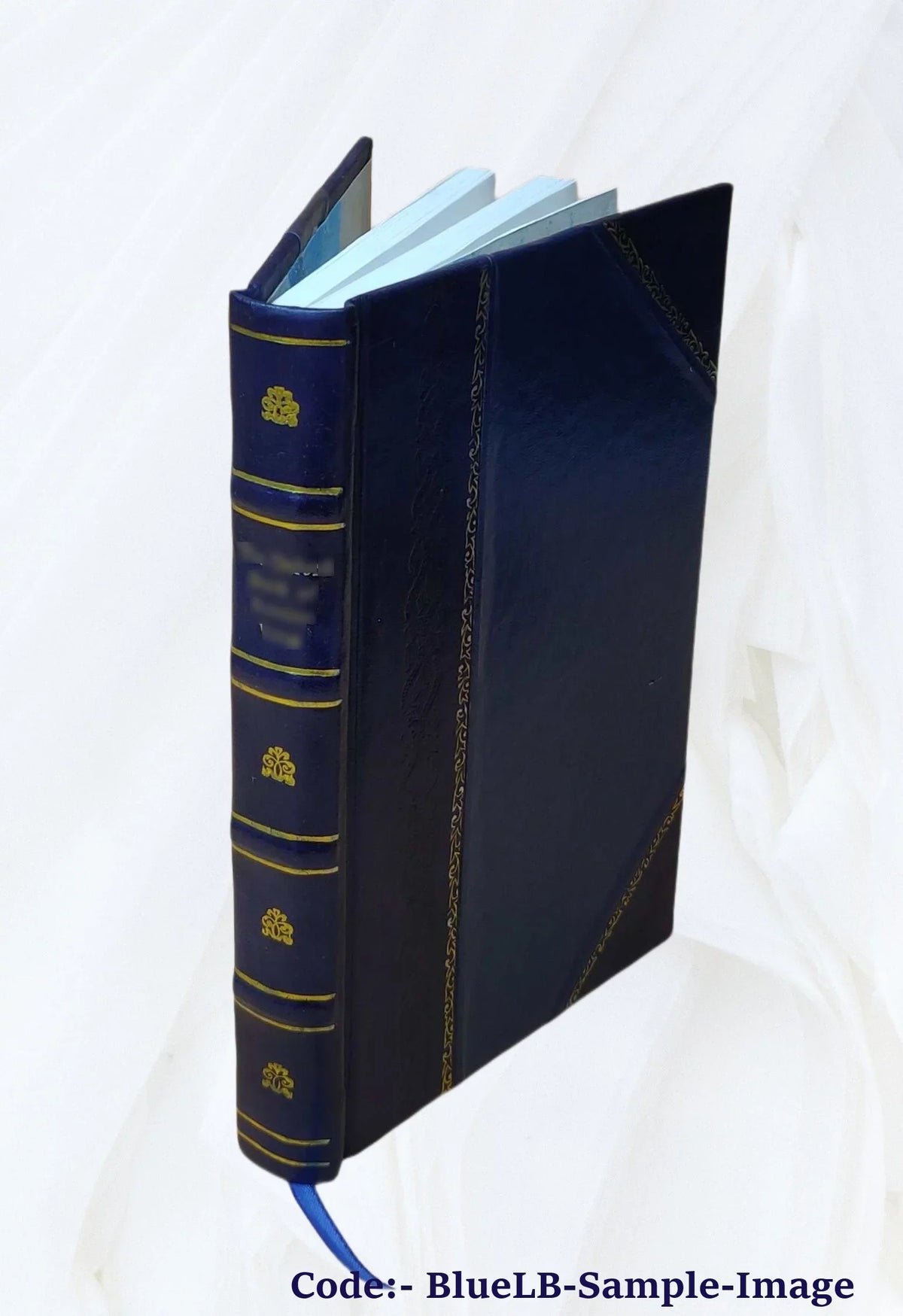 Botanisches Zentralblatt. B.B.C. Beihefte. Volume v.43 1926 abt.1 1926 [Leather Bound]