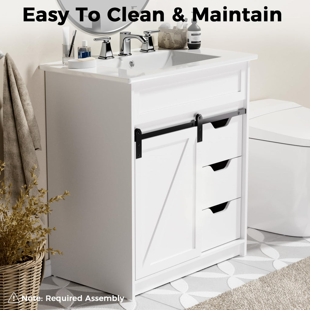 30" Bathroom Vanity with Sink, Sliding Barn Door & 3 Drawers