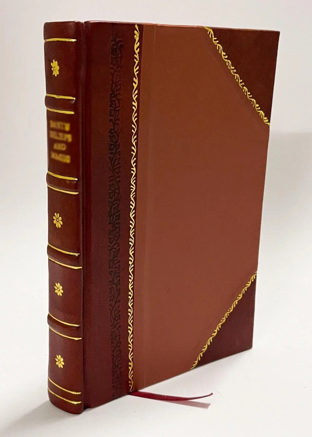 Turkey and the Balkan States, as Described by Great Writers; / Singleton, Esther Ed (1908) (1908) [Leather Bound]